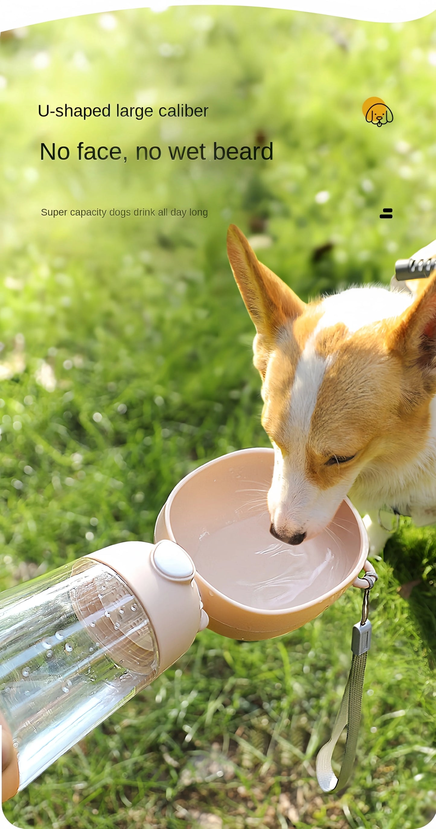 Portable Pet Water Bottle with Food Dispenser – Travel Cup for Dogs & Cats