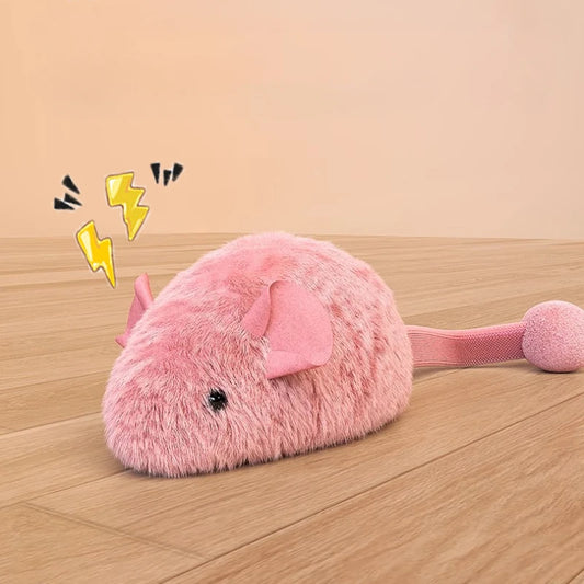 Interactive Plush Mouse Toy β Chew & Play Game for Kittens and Cats