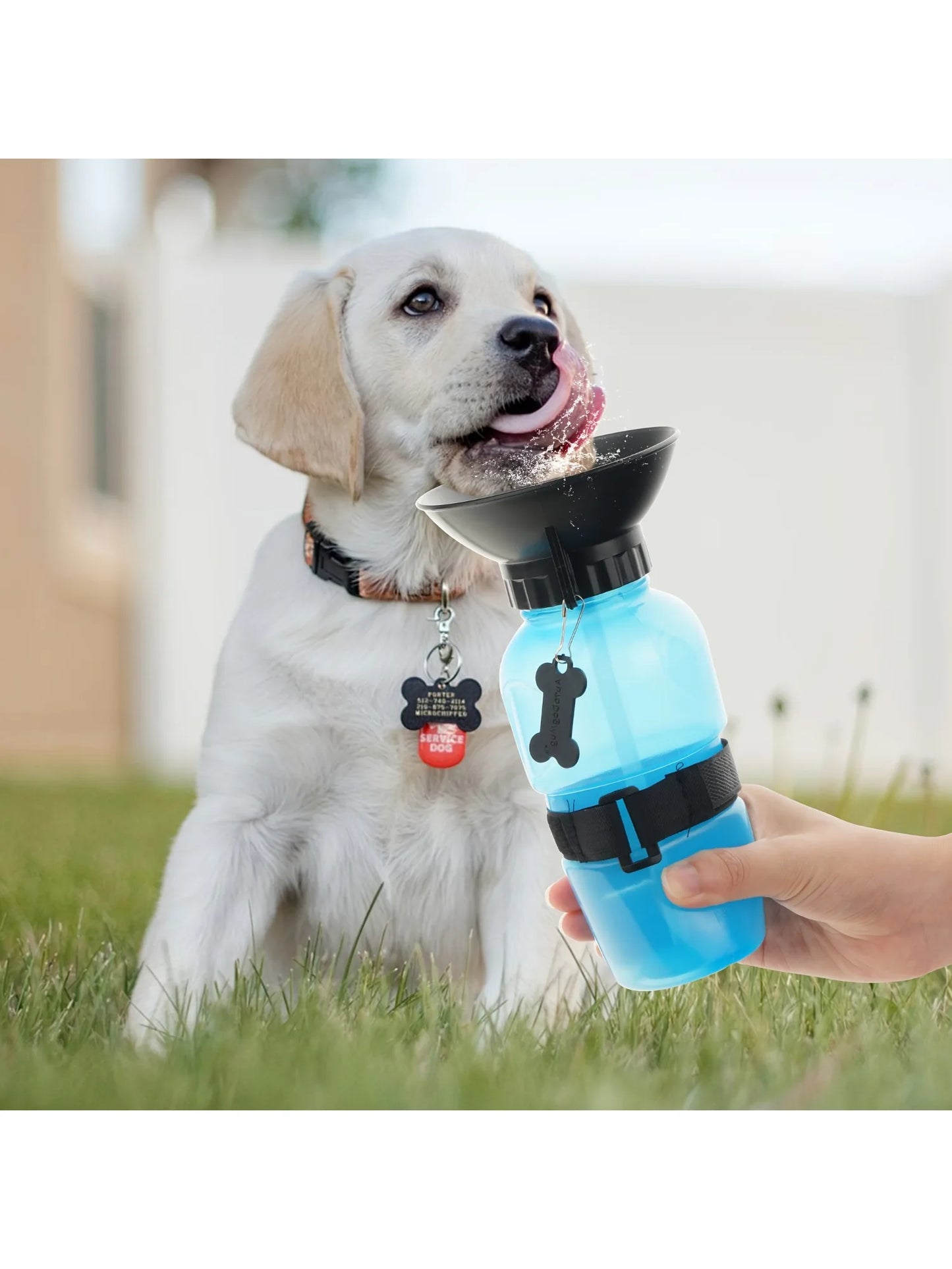 Portable Dog Water Bottle – Travel Dispenser with Bowl for Dogs, Cats & Kittens