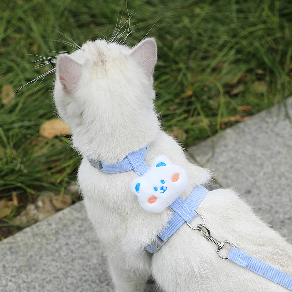 Adjustable Pet Harness & Leash Set β Breathable Walking Strap for Cats & Small Dogs