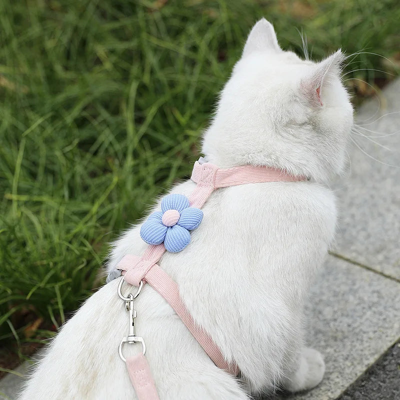 Adjustable Pet Harness & Leash Set β Breathable Walking Strap for Cats & Small Dogs