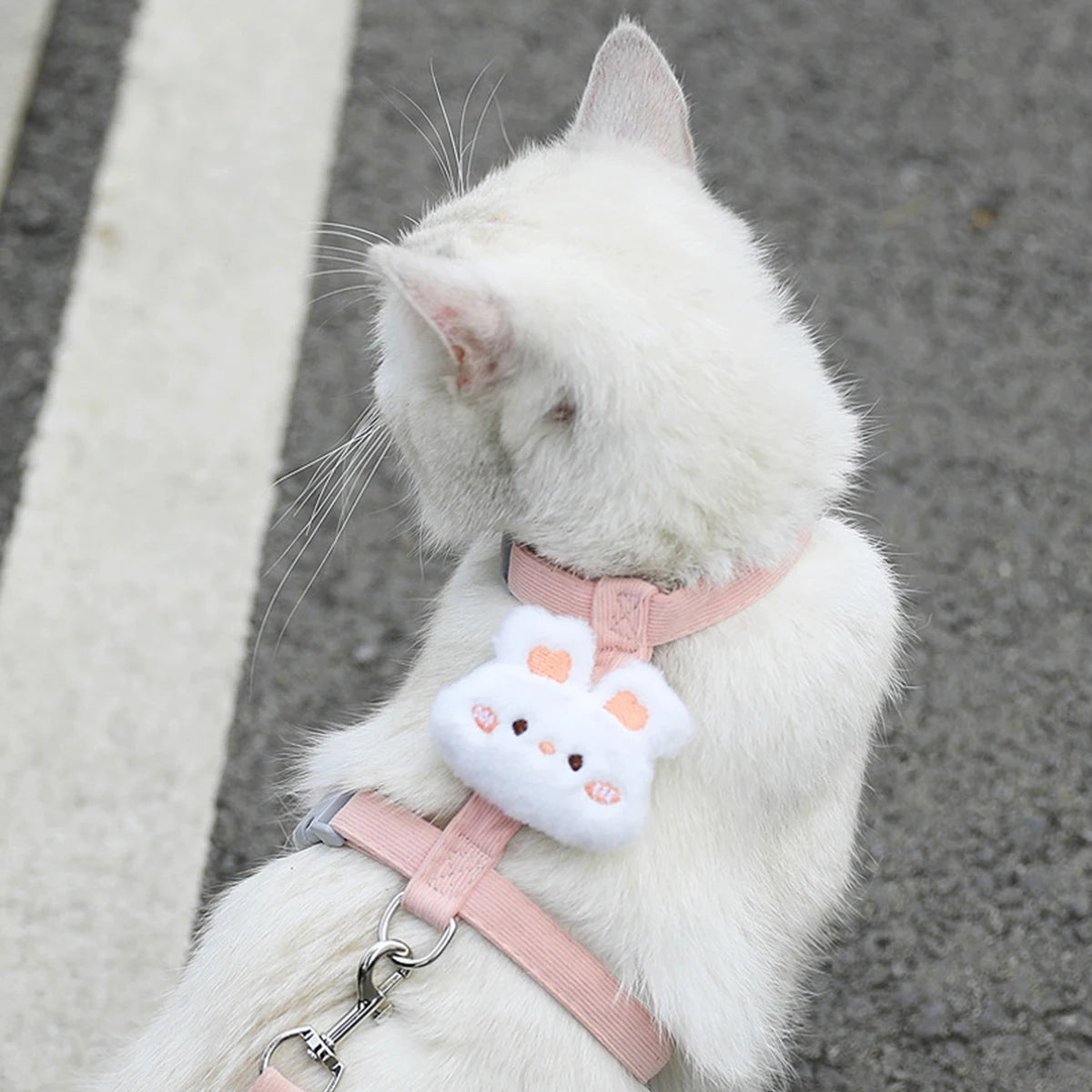Adjustable Pet Harness & Leash Set β Breathable Walking Strap for Cats & Small Dogs