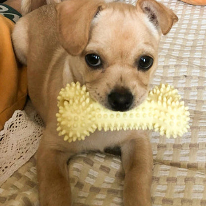 Durable Dog Chew Toy – TPR Knot Rope for Small Dogs, Training & Teeth Cleaning