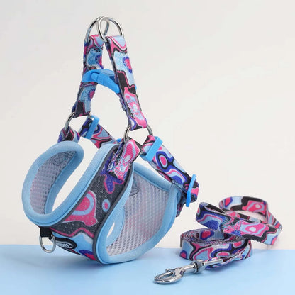 Dog Harness & Leash Set – Adjustable Comfort Vest with Escape Prevention