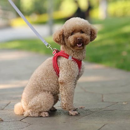 Arnés y correa ajustables para cachorros: chaleco cómodo para perros y gatos pequeños