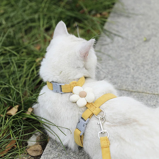 Adjustable Pet Harness & Leash Set – Breathable Walking Strap for Cats & Small Dogs
