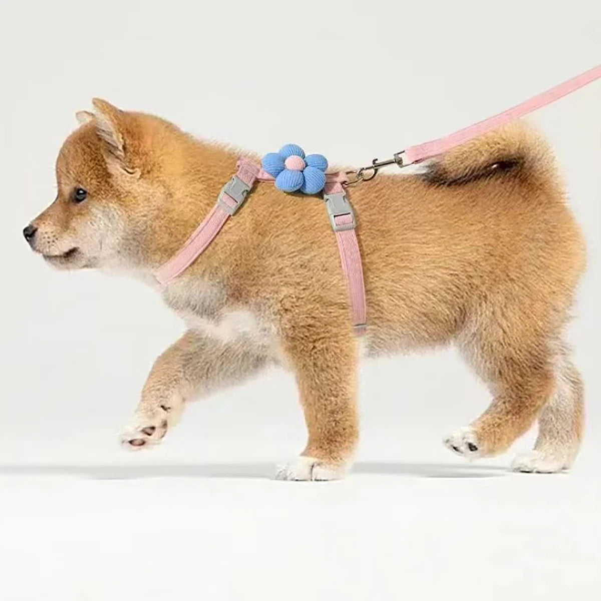 Adjustable Pet Harness & Leash Set – Breathable Walking Strap for Cats & Small Dogs