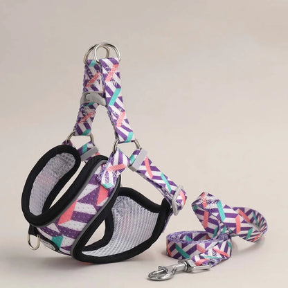 Dog Harness & Leash Set – Adjustable Comfort Vest with Escape Prevention
