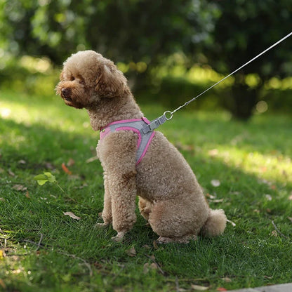 Arnés y correa ajustables para cachorros: chaleco cómodo para perros y gatos pequeños