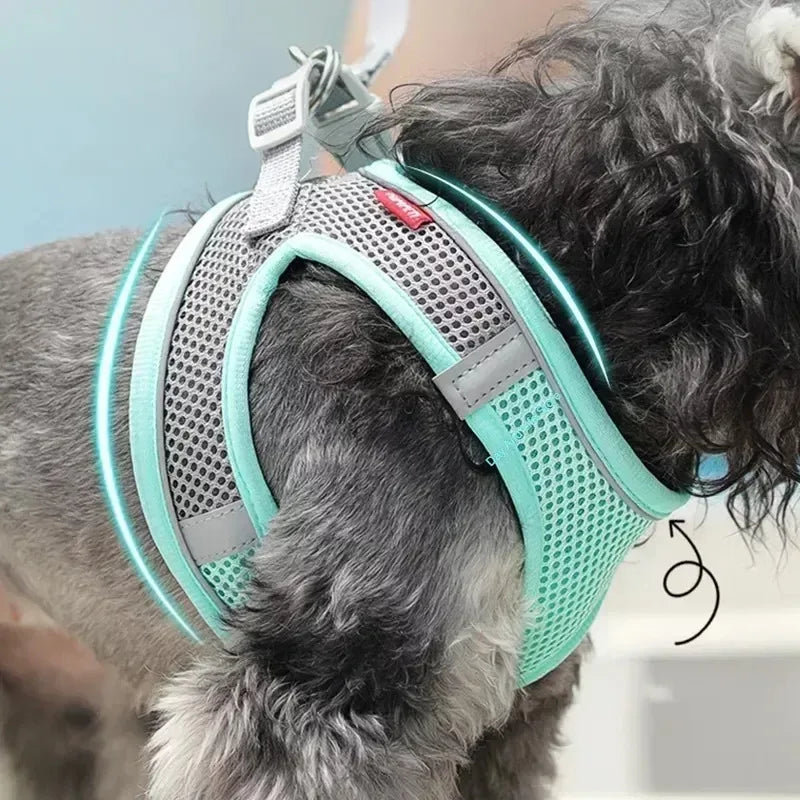 Arnés y correa ajustables para cachorros: chaleco cómodo para perros y gatos pequeños