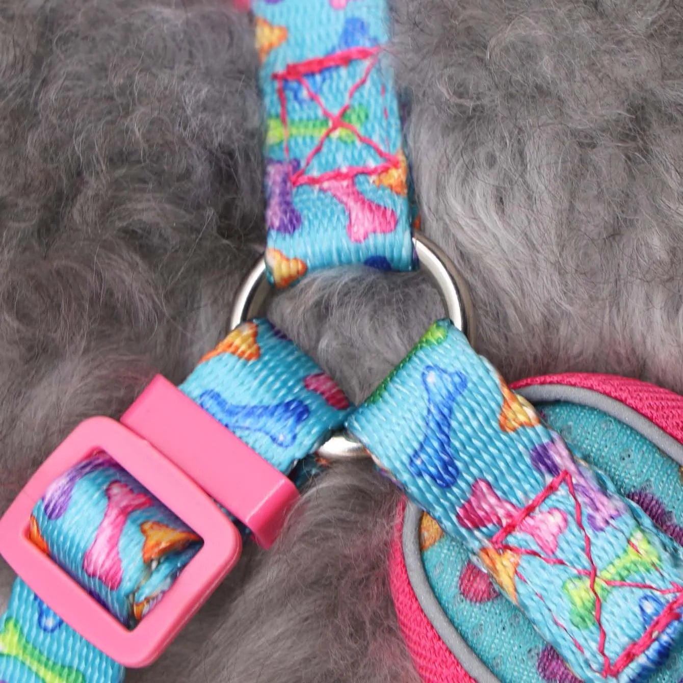 Dog Harness & Leash Set – Adjustable Comfort Vest with Escape Prevention