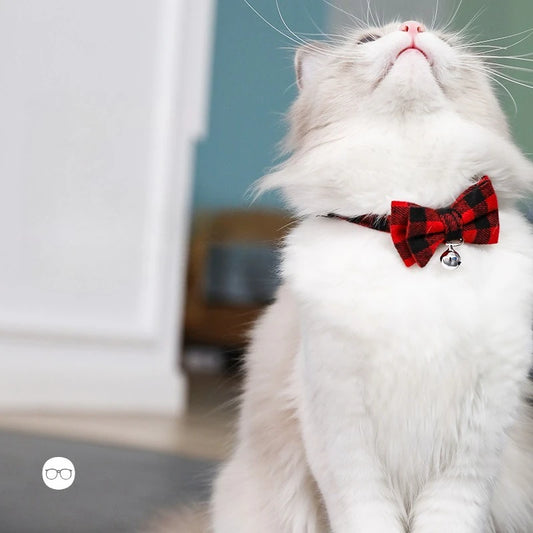 Cute Pet Collar with Bow & Bell – Adjustable Necklace for Cats, Kittens & Small Dogs