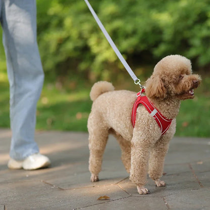 Arnés y correa ajustables para cachorros: chaleco cómodo para perros y gatos pequeños