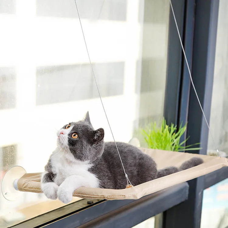 Cat Window Hammock – Hanging Bed with Strong Suction Cups for Kittens & Cats