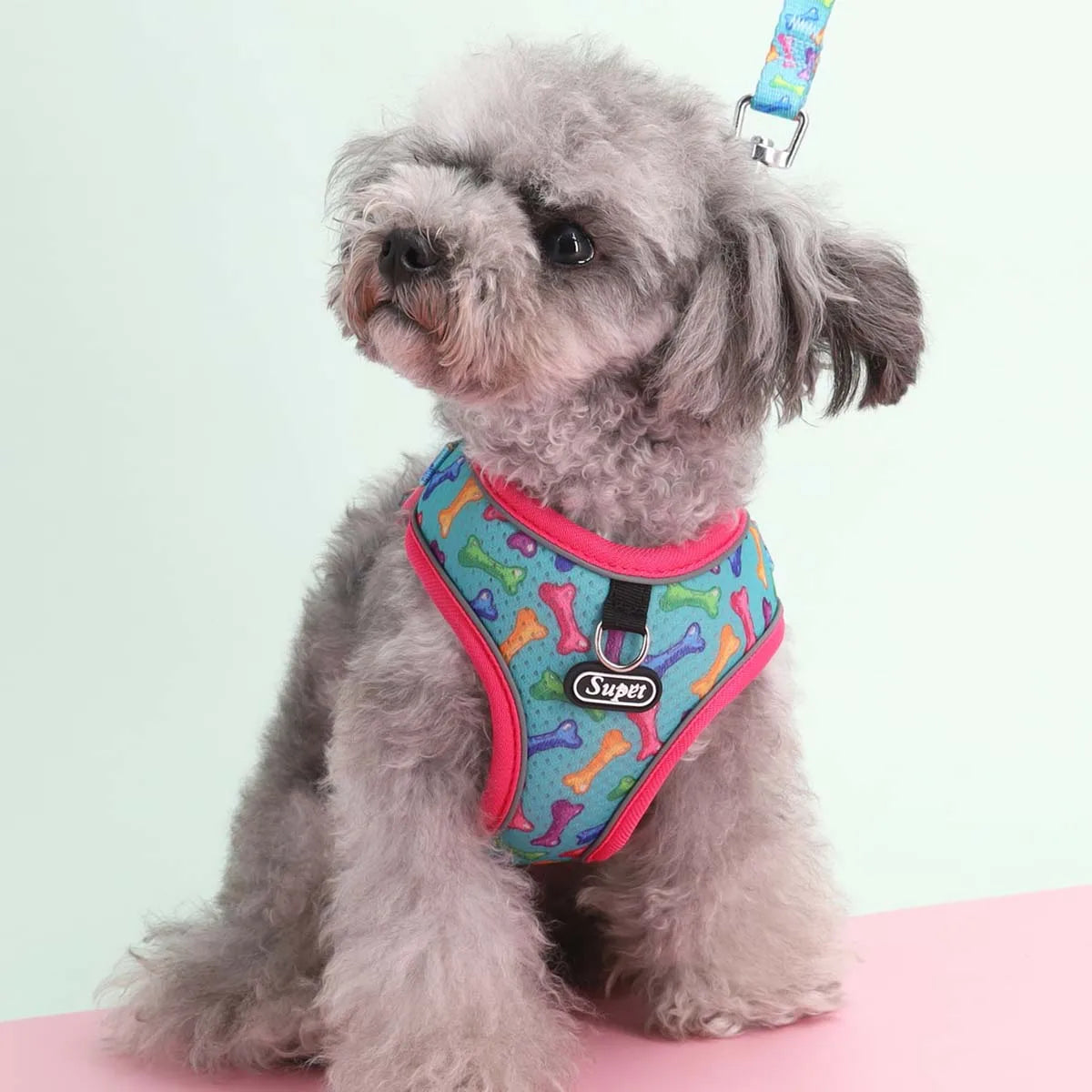 Dog Harness & Leash Set – Adjustable Comfort Vest with Escape Prevention