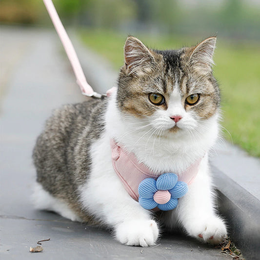 Adjustable Pet Harness & Leash Set – Breathable Walking Strap for Cats & Small Dogs