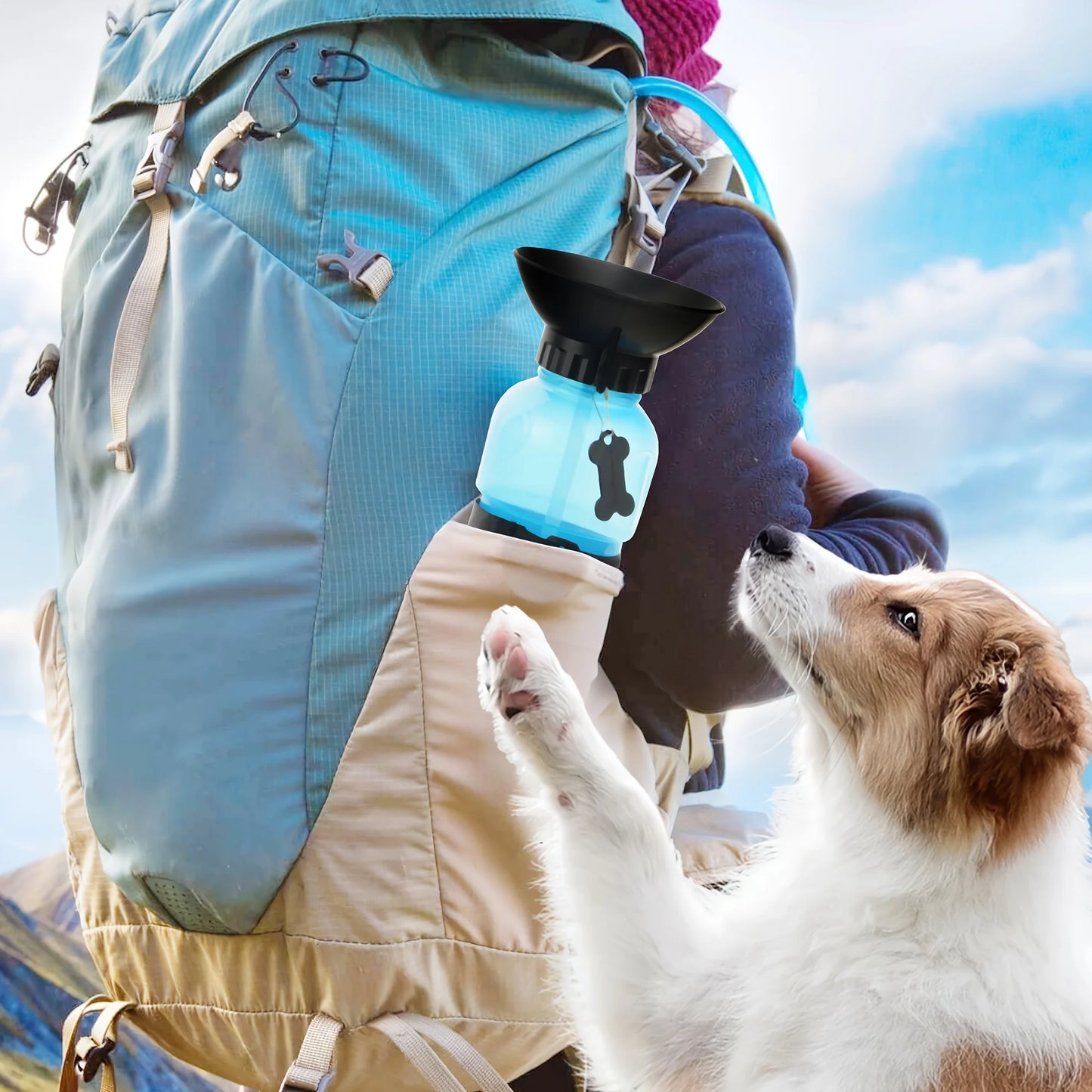 Portable Dog Water Bottle – Travel Dispenser with Bowl for Dogs, Cats & Kittens