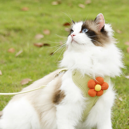 Adjustable Pet Harness & Leash Set – Breathable Walking Strap for Cats & Small Dogs