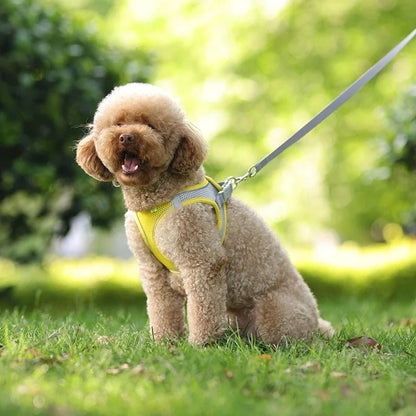 Arnés y correa ajustables para cachorros: chaleco cómodo para perros y gatos pequeños